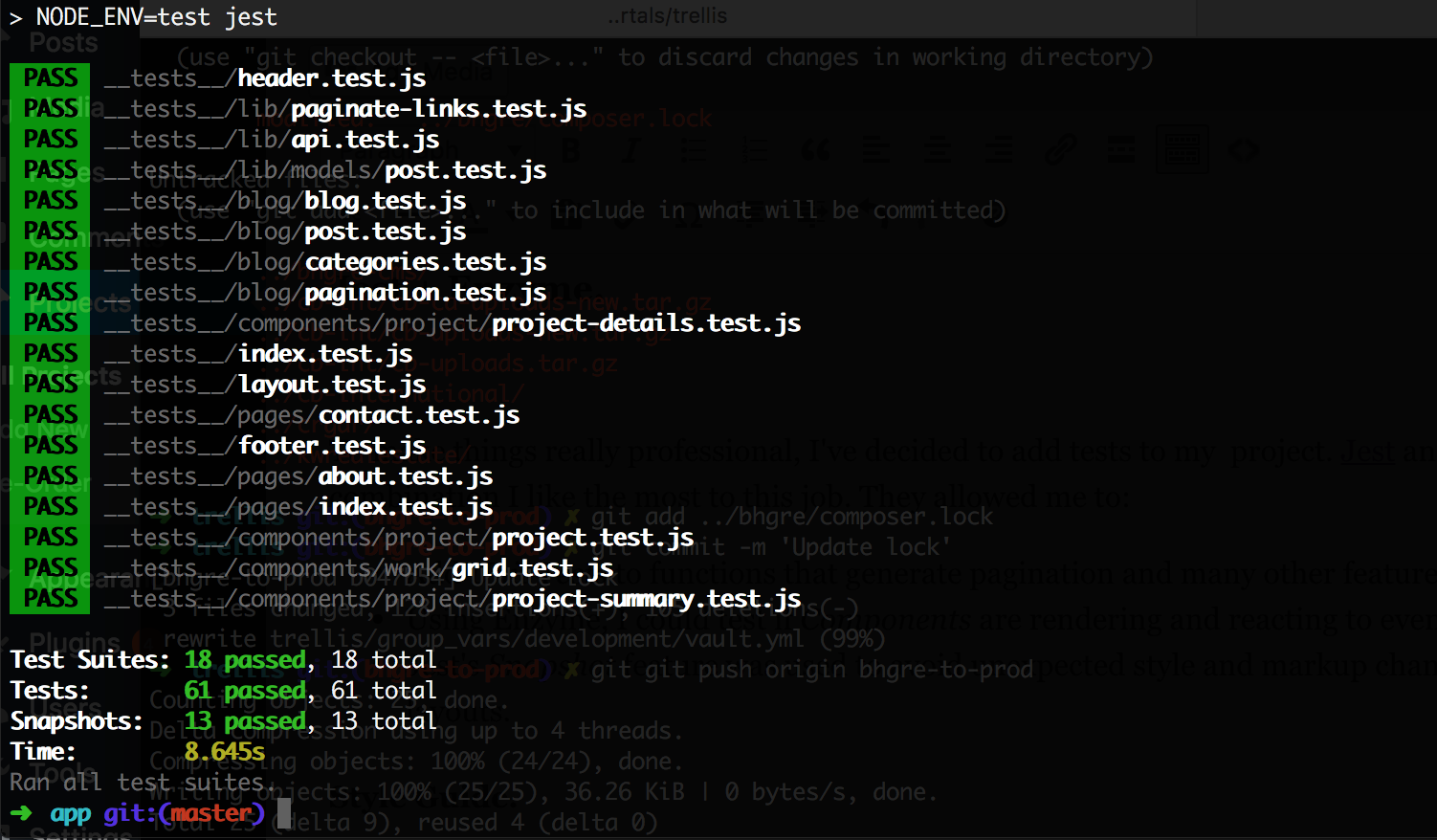 Rafael Angeline Project - Jest tests passing